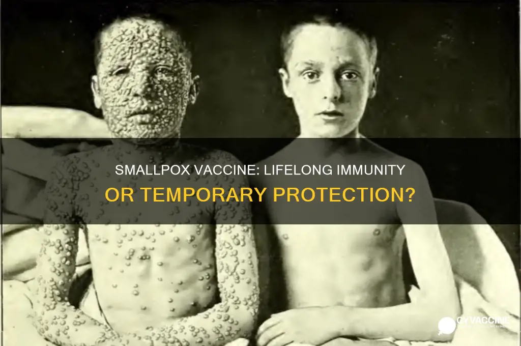 does smallpox vaccine provide lifelong immunity