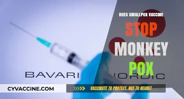 Can the Smallpox Vaccine Protect Against Monkeypox? What We Know
