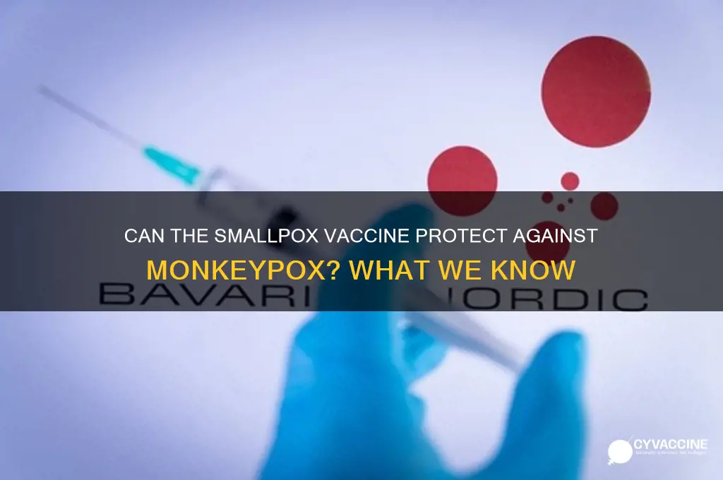 does smallpox vaccine stop monkey pox