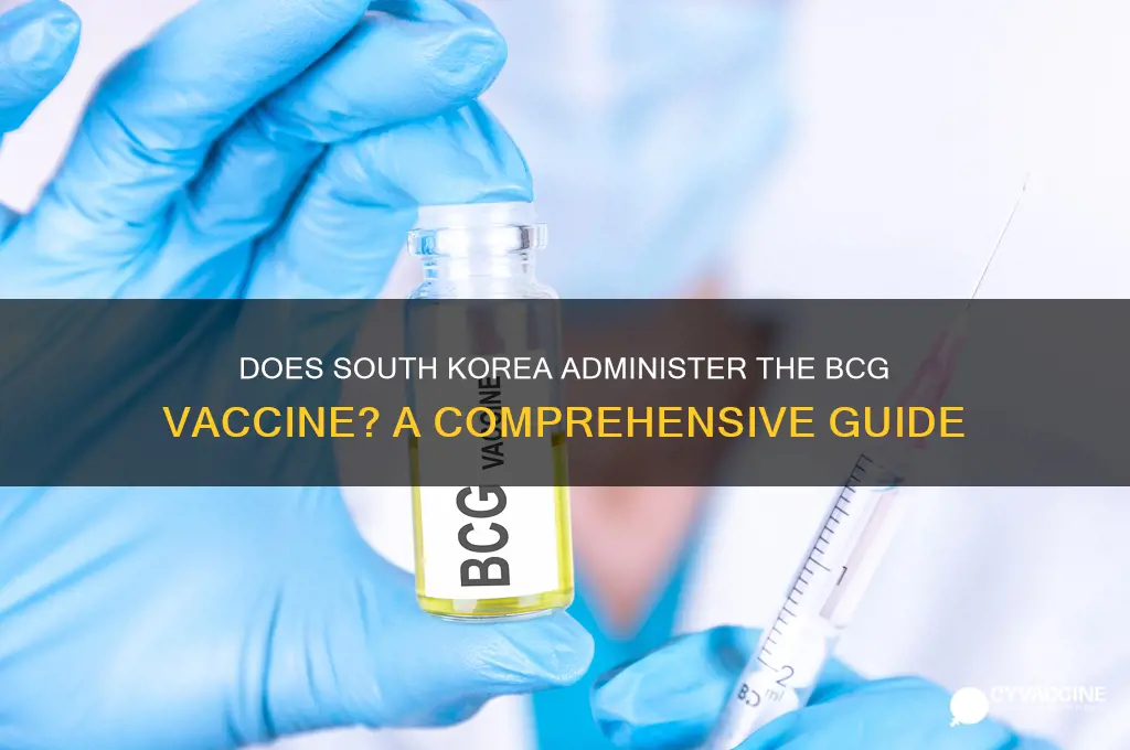 does south korea have bcg vaccine