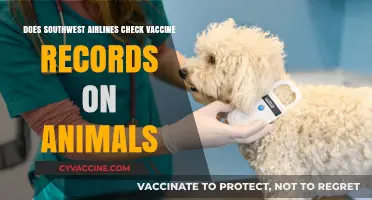 Southwest Airlines: Pet Vaccine Records Check?