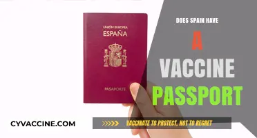 Spain's Vaccine Passport: What Travelers Need to Know