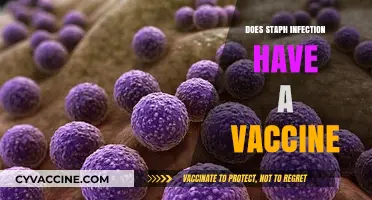 Staph Infections: Current Vaccine Status and Prevention Strategies Explained