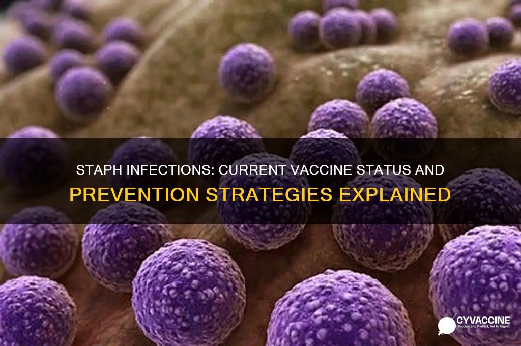 does staph infection have a vaccine