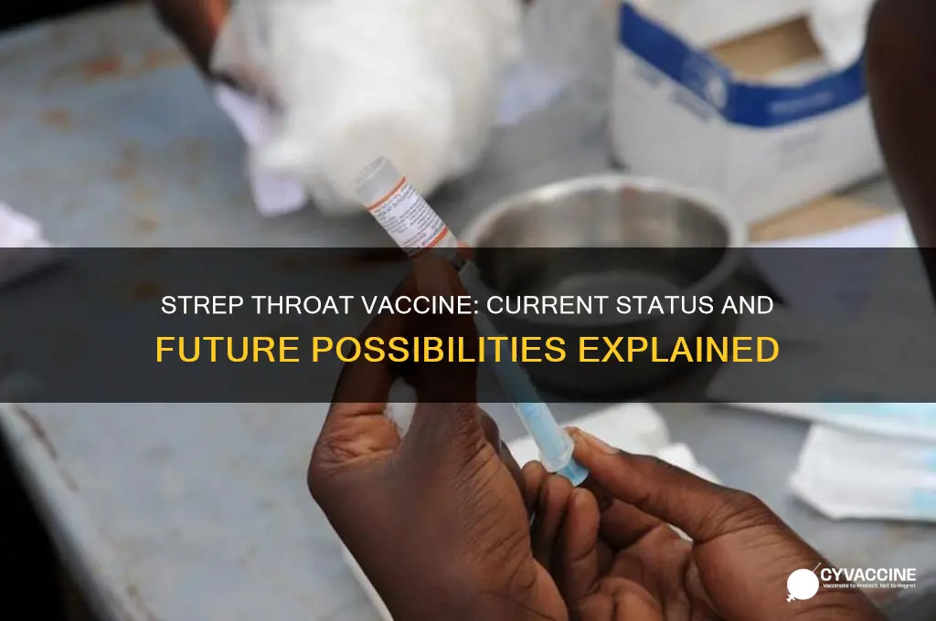 does strep throat have a vaccine