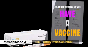 Exploring the Potential: Is There a Vaccine for Streptococcus Mutans?