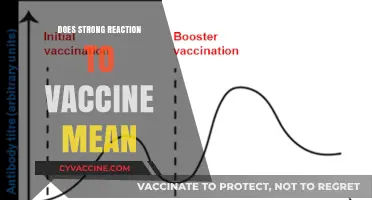 Strong Vaccine Reactions: What They Mean for Your Immune Response