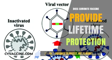 Subunit Vaccines: Do They Offer Lifelong Immunity or Require Boosters?