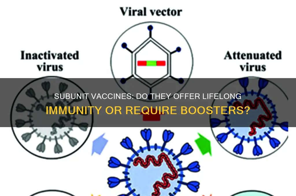 does subunits vaccine provide lifetime protection