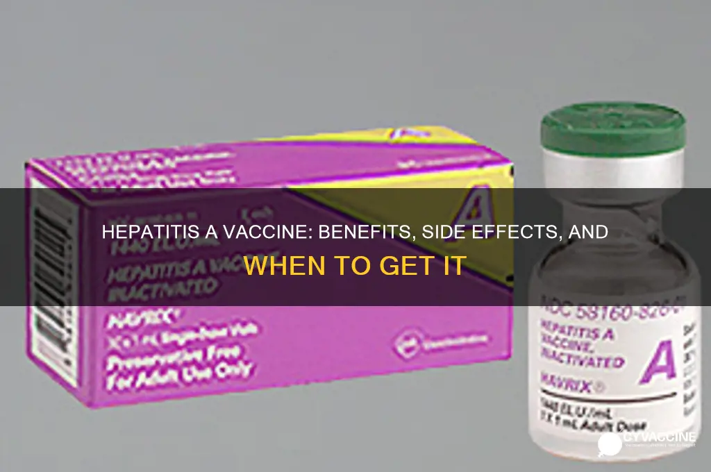 does taking the hepatitis a vaccine