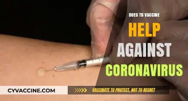 TB Vaccine and COVID-19: Potential Cross-Protection Explored
