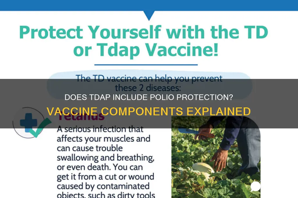 does tdap contain vaccine for polio