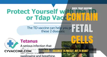 Does the Tdap Vaccine Contain Fetal Cells? Facts Explained