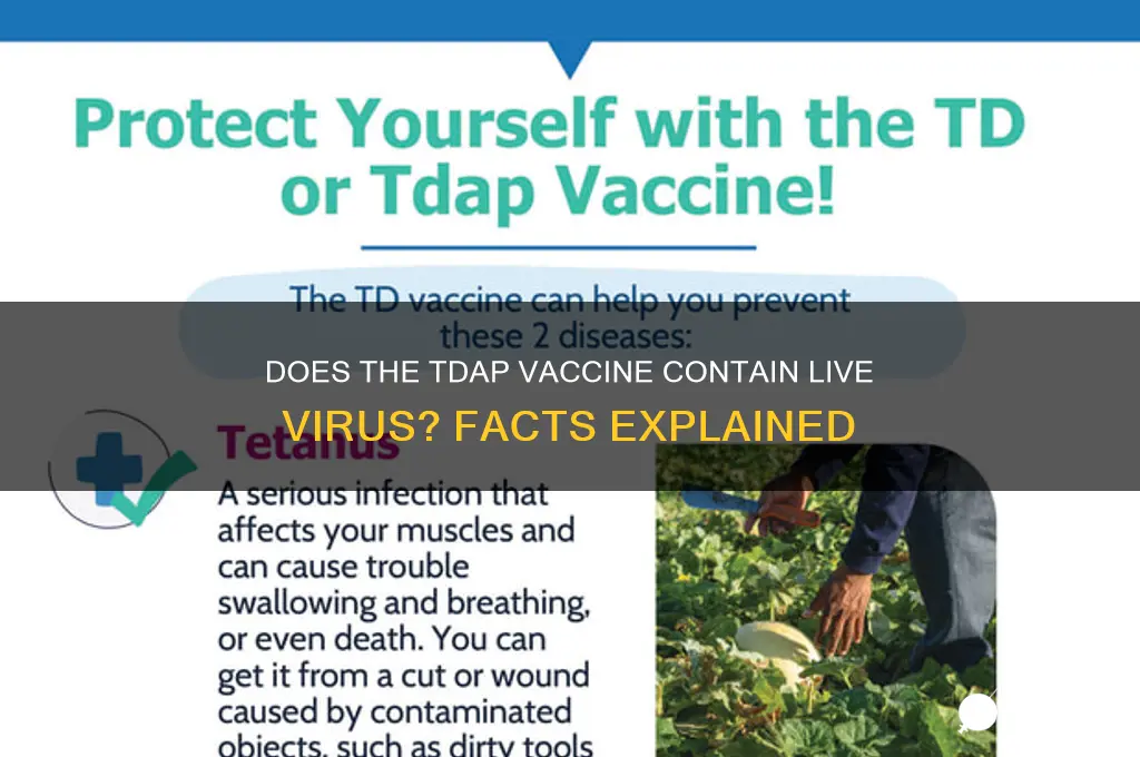 does tdap vaccine contain live virus