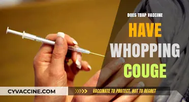 Does the Tdap Vaccine Protect Against Whooping Cough? Facts Explained