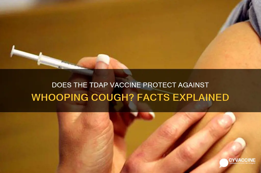 does tdap vaccine have whopping couge
