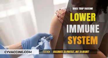 Does the Tdap Vaccine Weaken Your Immune System? Facts Revealed
