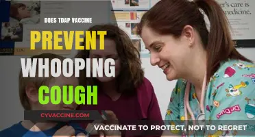 Does the Tdap Vaccine Effectively Prevent Whooping Cough? Facts Explained