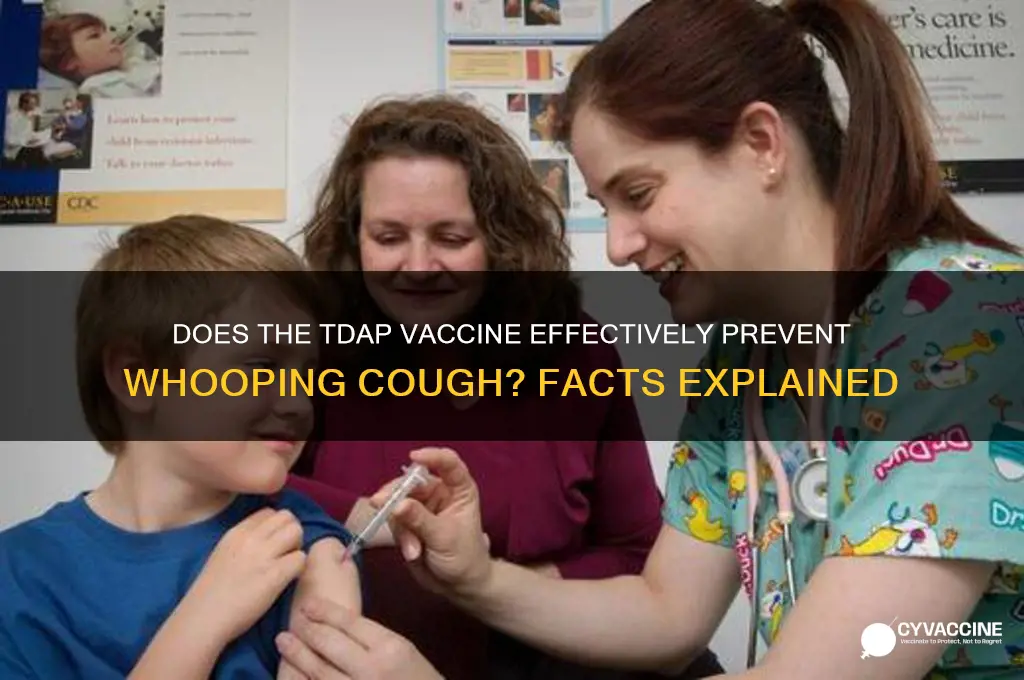 does tdap vaccine prevent whooping cough