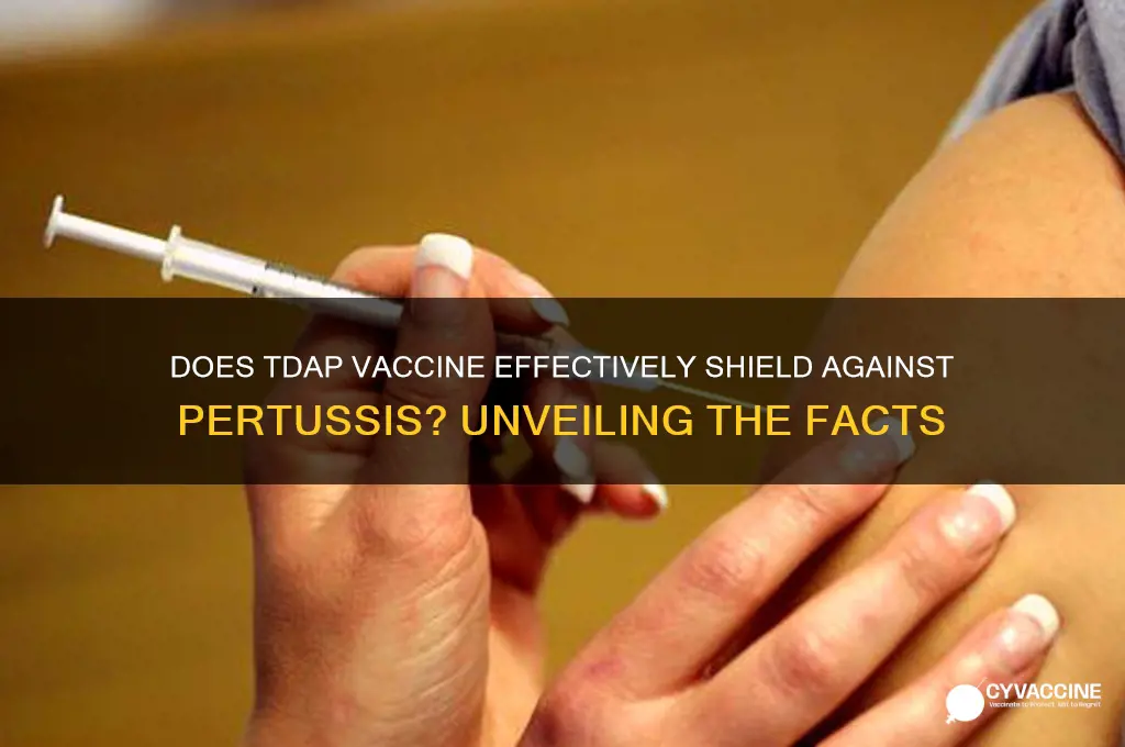 does tdap vaccine protect against pertussis