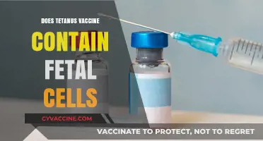 Tetanus Vaccine and Fetal Cells: Separating Fact from Fiction