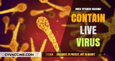 Tetanus Vaccine: Live Virus or Safe Protection? Facts Revealed