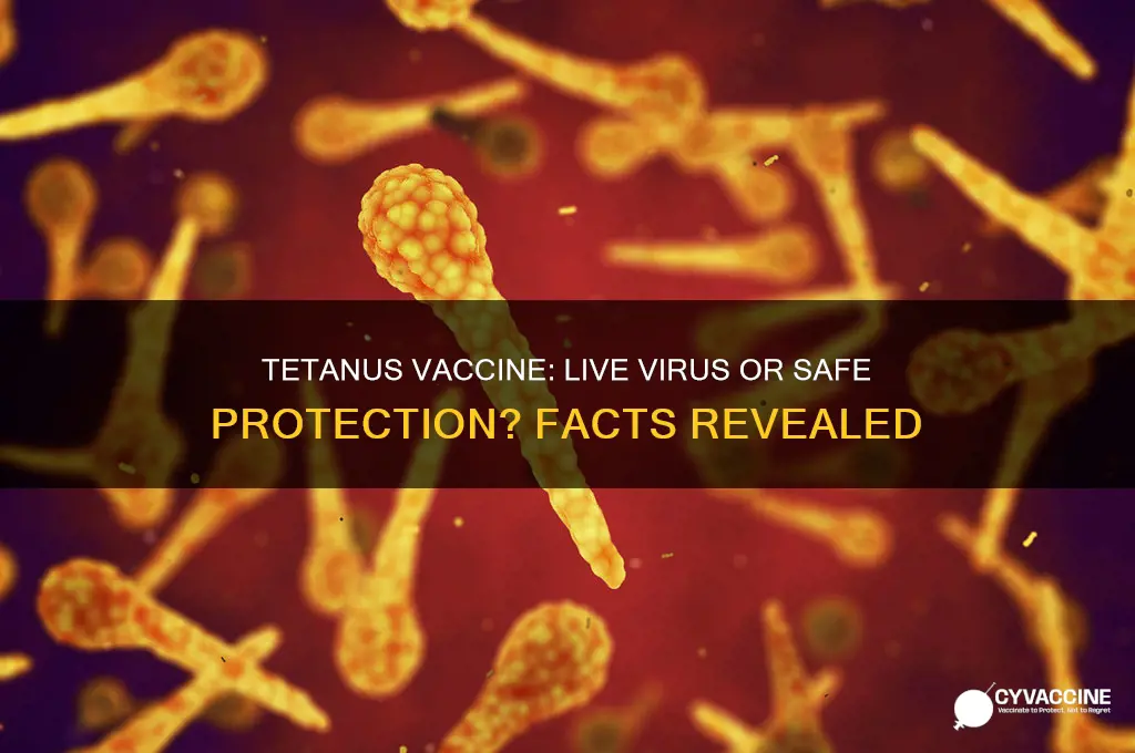 does tetanus vaccine contain live virus