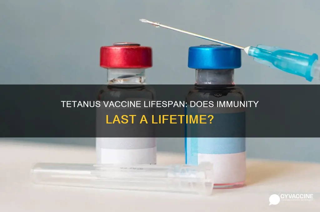 does tetanus vaccine last for life