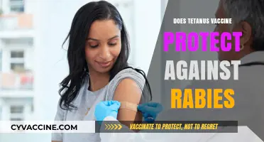 Tetanus Vaccine vs. Rabies: Understanding Their Distinct Protections and Uses