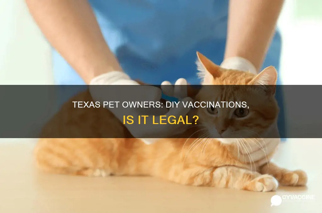 does texas have a law against self administering pet vaccinations