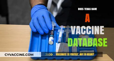 Does Texas Maintain a Centralized Vaccine Database? What You Need to Know