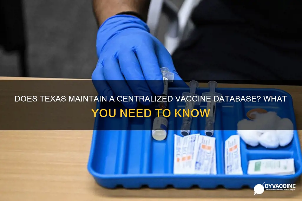 does texas have a vaccine database