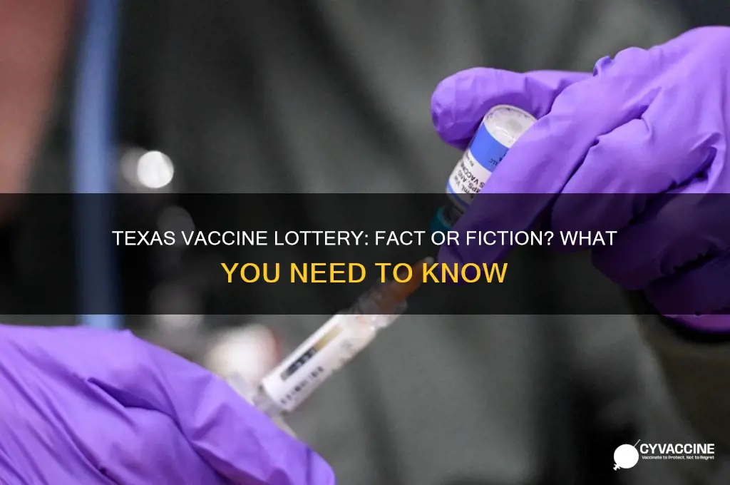 does texas have a vaccine lottery