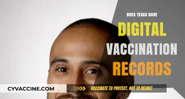 Texas Digital Vaccination Records: Access, Availability, and How to Obtain