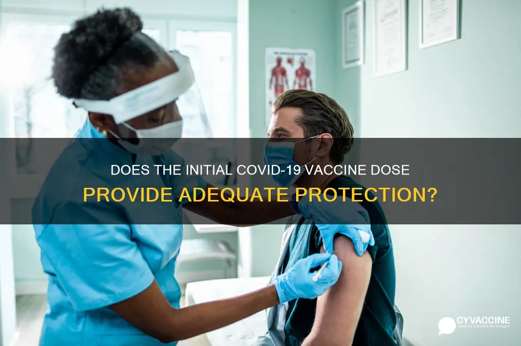 does the 1st vaccine protect you