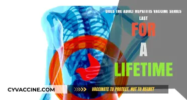 Hepatitis Vaccine Series: Lifetime Protection for Adults?