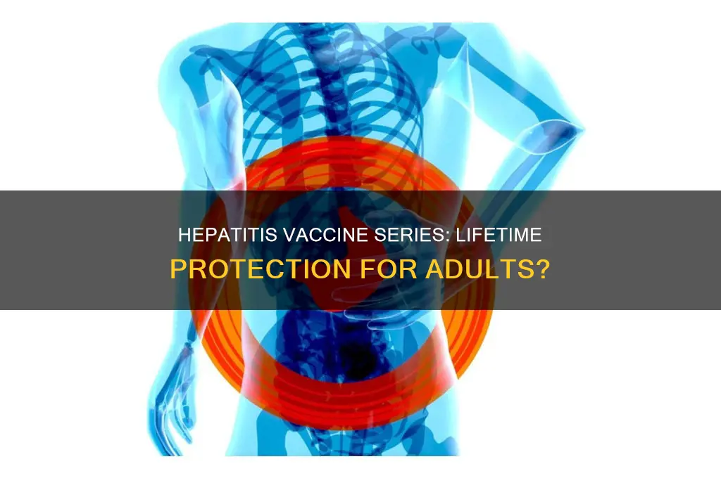 does the adult hepatitis vaccine series last for a lifetime
