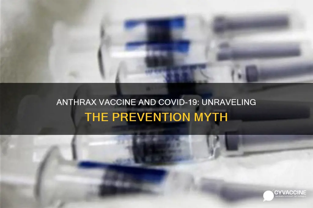 does the anthrax vaccine prevent coronavirus