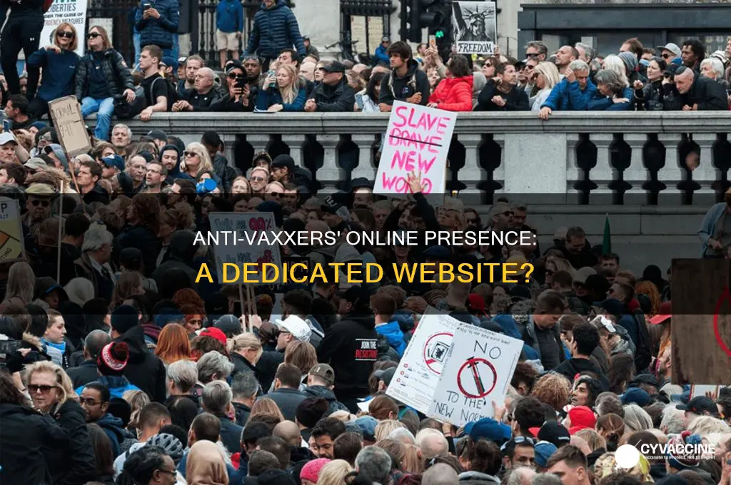 does the anti-vaccination movement have a website