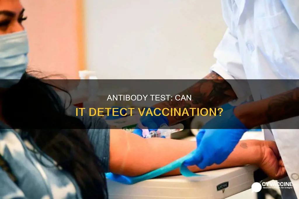 does the antibody test pick up the vaccine