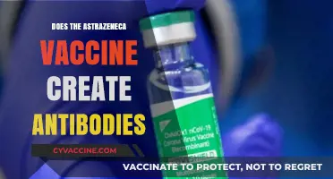 AstraZeneca Vaccine: Antibody Production and Immune Response Explained