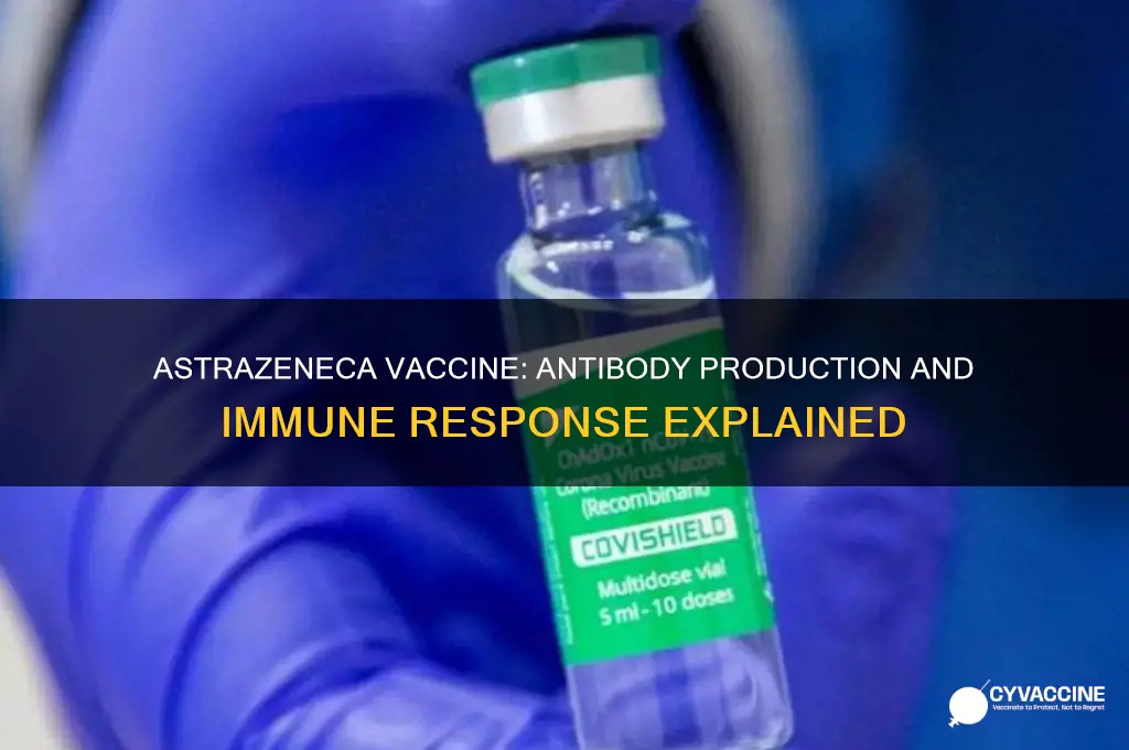 does the astrazeneca vaccine create antibodies