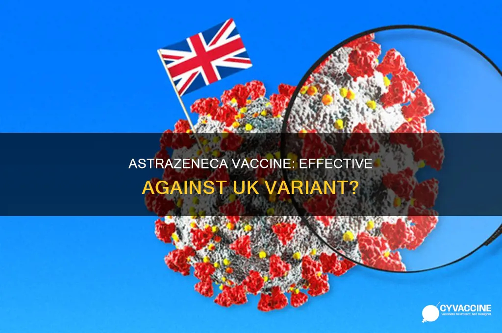 does the astrazeneca vaccine protect against the uk variant