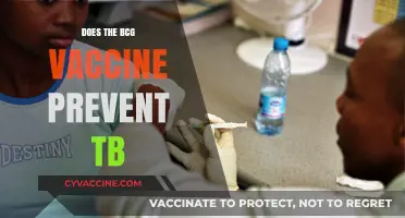 Can the BCG Vaccine Effectively Prevent Tuberculosis? Exploring Its Role