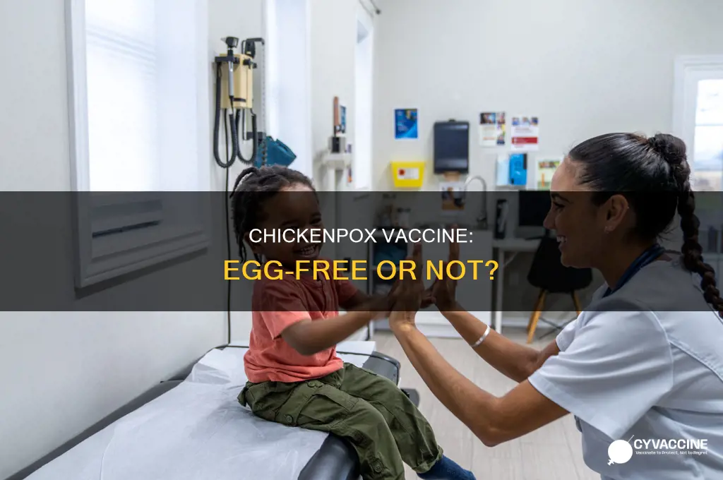 does the chickenpox vaccine have egg in it