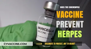 Chickenpox Vaccine and Herpes: Unraveling the Connection and Prevention
