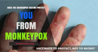 Chickenpox Vaccine: Effective Shield Against Monkeypox?