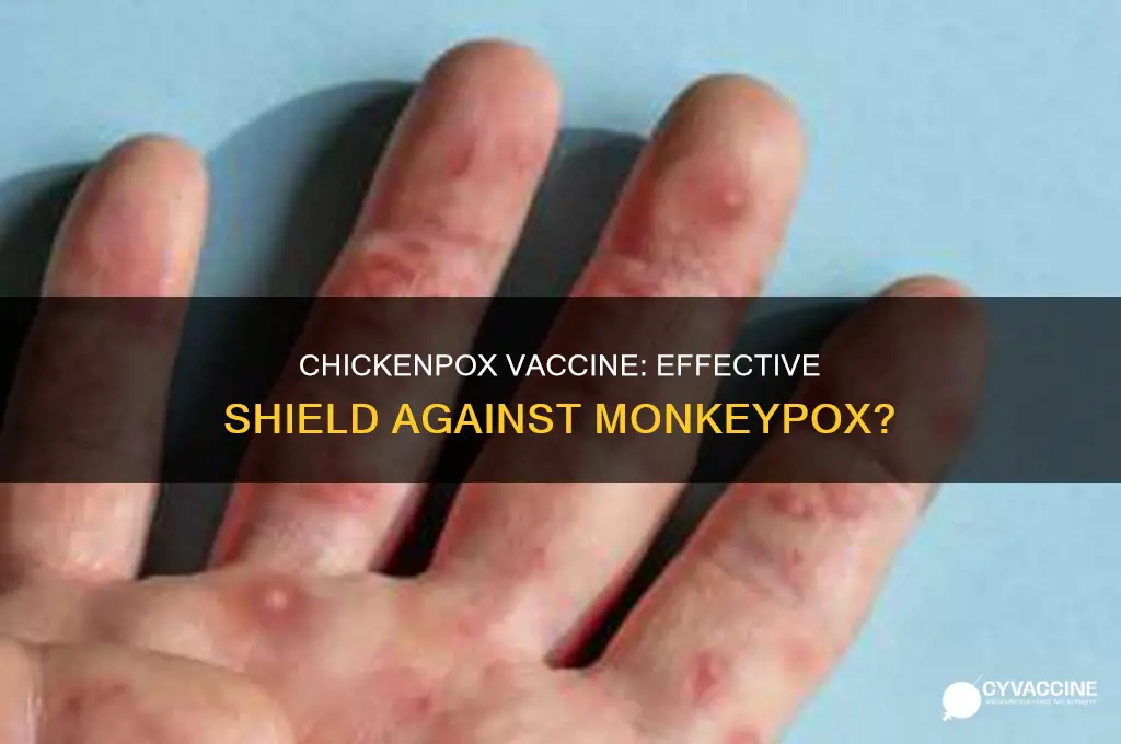 does the chickenpox vaccine protect you from monkeypox
