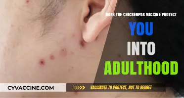 Chickenpox Vaccine: Lifelong Protection or Booster Needed?