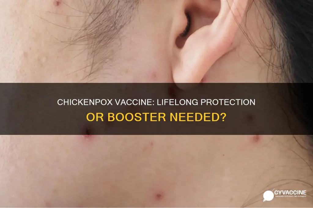 does the chickenpox vaccine protect you into adulthood